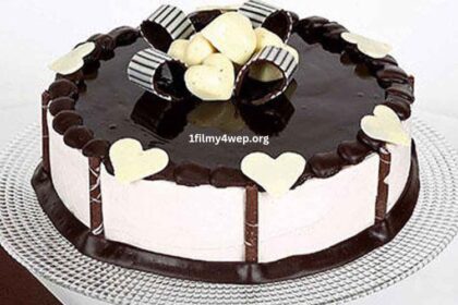 1 2 kg cake size and price