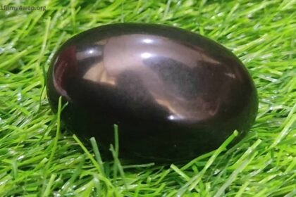 original shaligram stone price in india