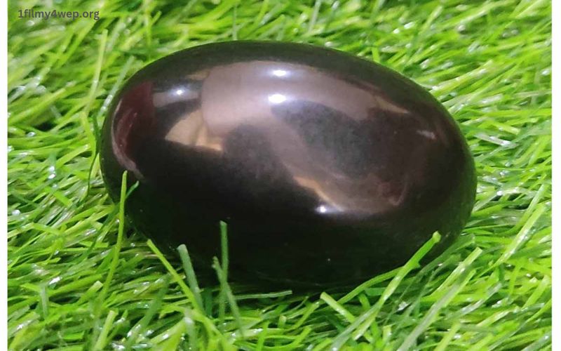 original shaligram stone price in india